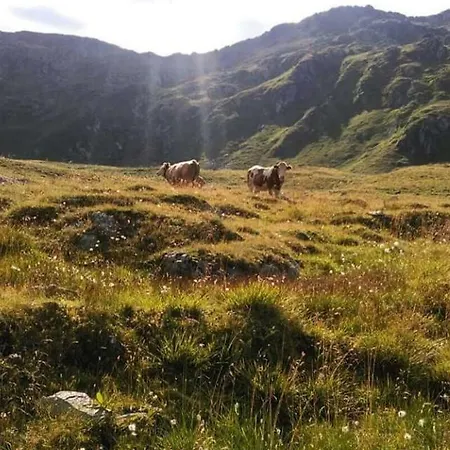 Ausserlechner * Kartitsch