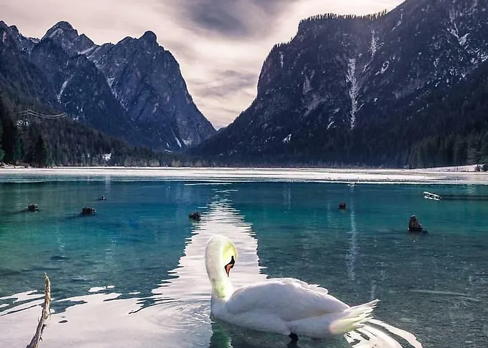 Apartmán Ausserlechner Kartitsch