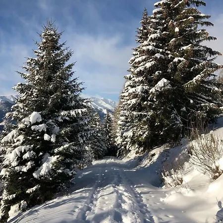 Lejlighed Ausserlechner