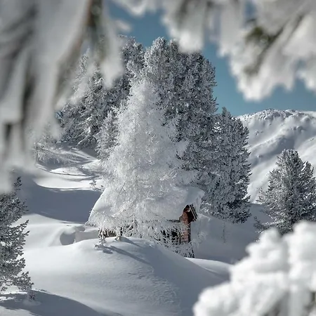 Außerlechner Apartment Kartitsch