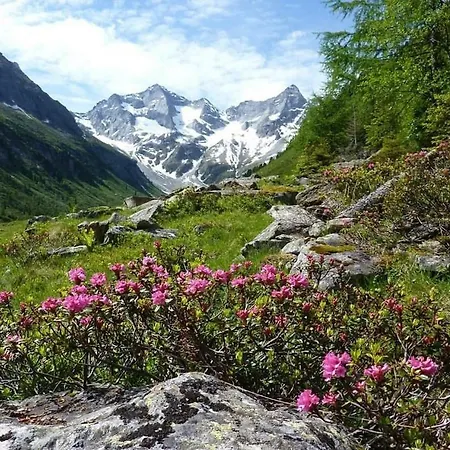 Apartment Außerlechner