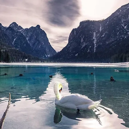 Apartment Außerlechner Kartitsch