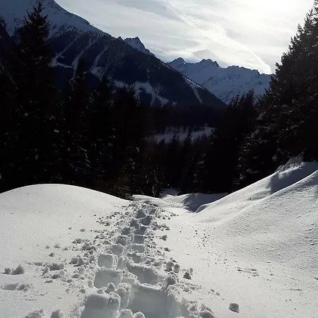 Apartment Außerlechner