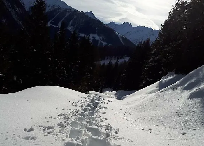 Apartment Ausserlechner